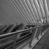 DSC04233-2.jpg