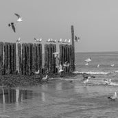DSC_0842.jpg