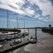 DSC_4974.jpg