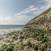 DSC_5872.jpg
