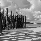 DSC_6119.jpg