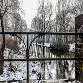 DSC_6460.jpg