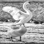 DSC_6551.jpg