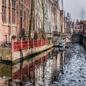 DSC_6531.jpg