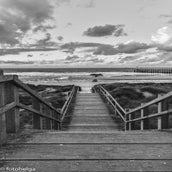DSC_3022-2.jpg