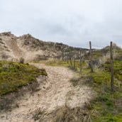 oostduinkerkekleur-3.jpg