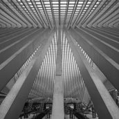 DSC04117-2-1.jpg