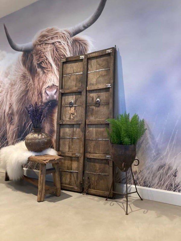 Hele mooie set deuren afkomstig uit India - 165x80 cm