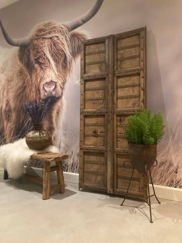 Hele mooie set deuren afkomstig uit India - 160x80 cm