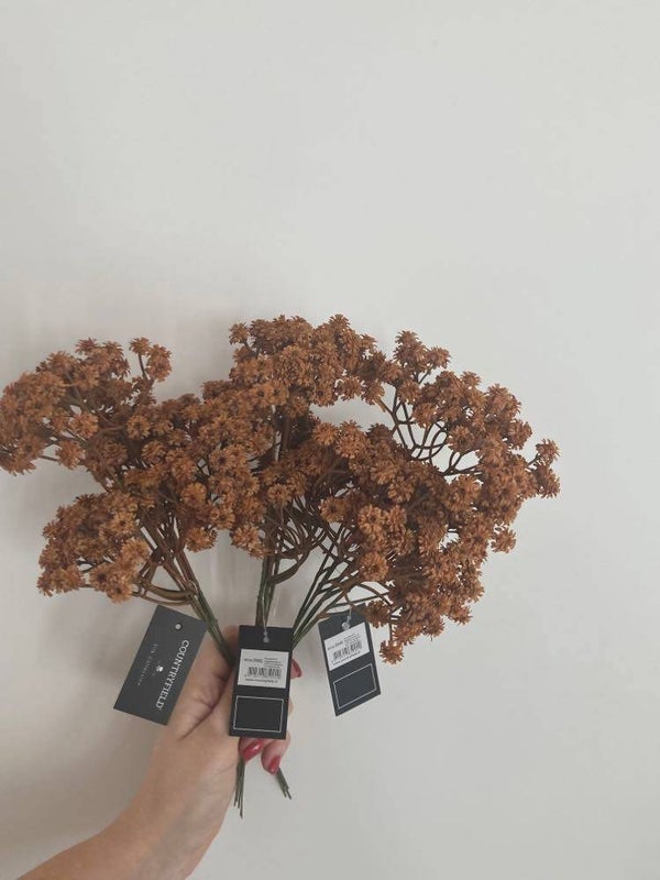 Countryfield Gypsophilla tak - 30 cm