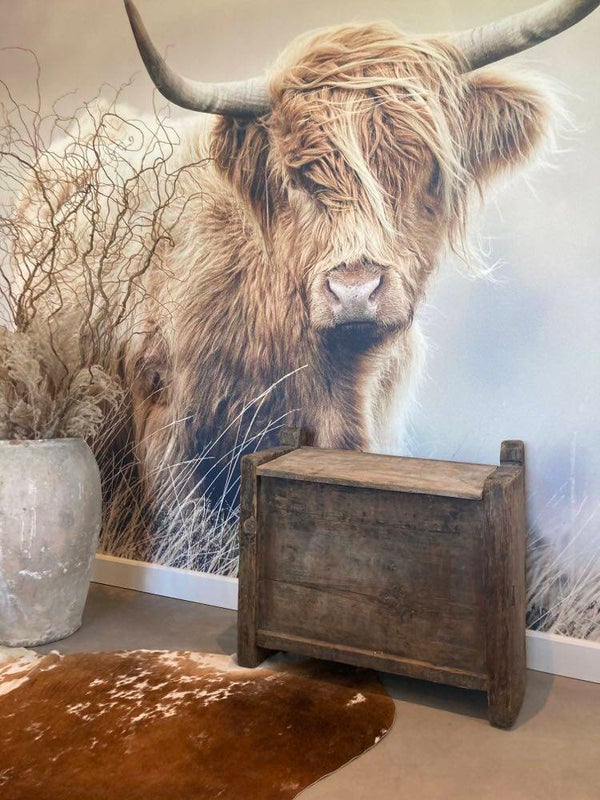 Antieke Himalaya kist - 82x35x75 cm