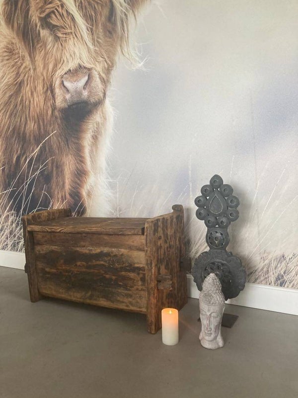 Antieke Himalaya kist - 79x40x50 cm