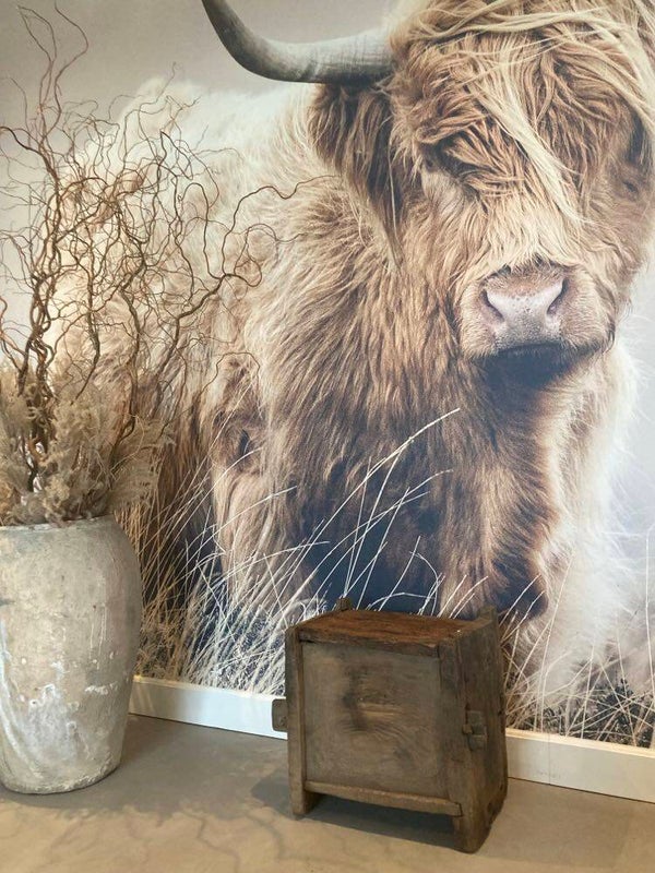 Antieke Himalaya kist - 43x32x46 cm