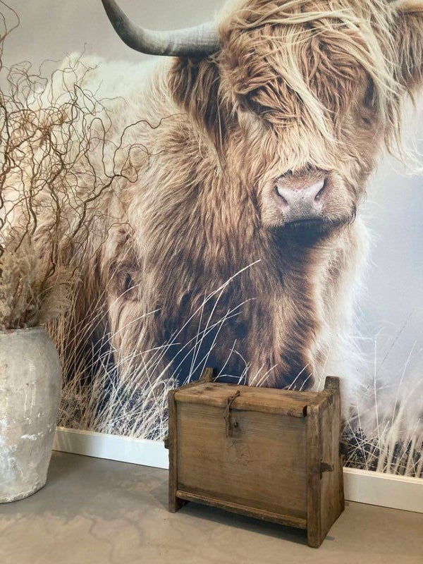 Antieke Himalaya kist - 58x31x47 cm