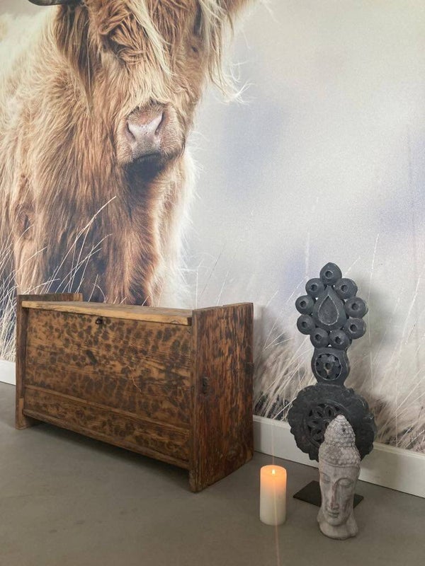 Antieke Himalaya kist - 93x32x53 cm