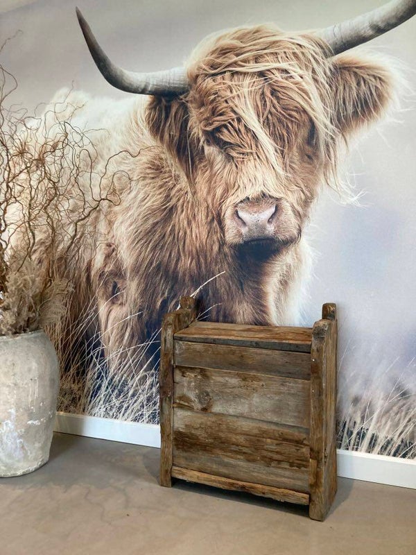 Antieke Himalaya kist - 76x28x77 cm