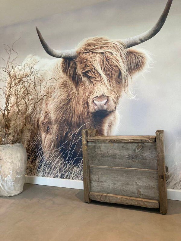 Antieke Himalaya kist - 93x36x87 cm