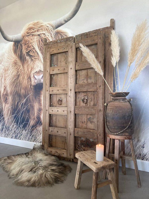 Hele mooie set deuren - 180x115 cm