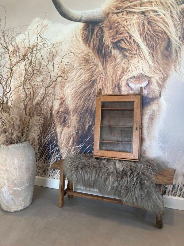 Houten vitrinekast/wandkast  - 81x45x11 cm