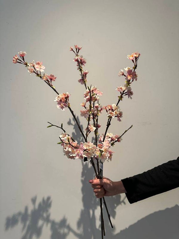 Countryfield kersenbloesem tak Gisele S