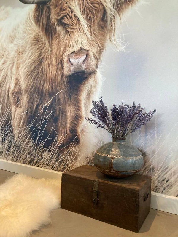 Antieke houten kist - 60x32x27 cm