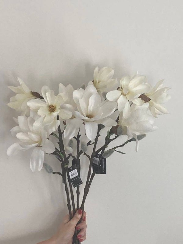 Countryfield Magnolia tak Chayca S - 60 cm