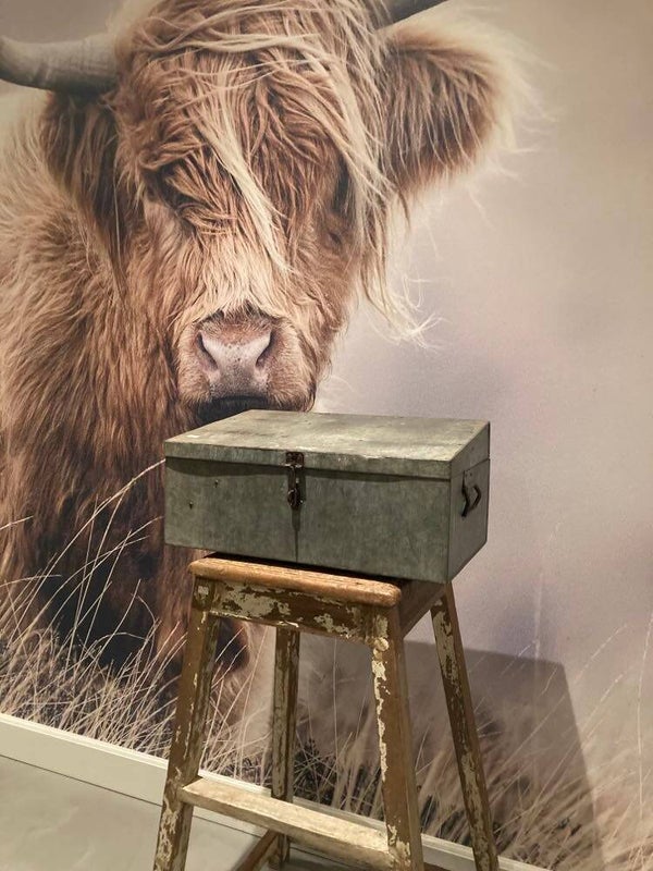 Metalen vintage kist - 51x31x23 cm