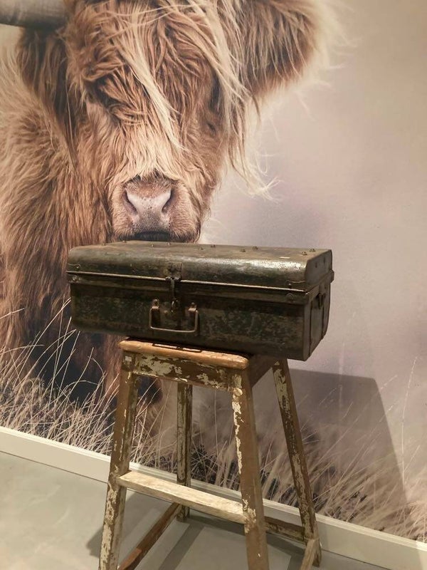 Metalen vintage kist - 67x37x26 cm