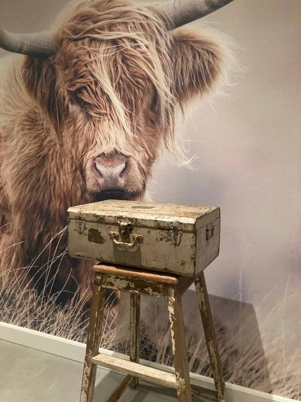 Metalen vintage kist - 57x35x22 cm