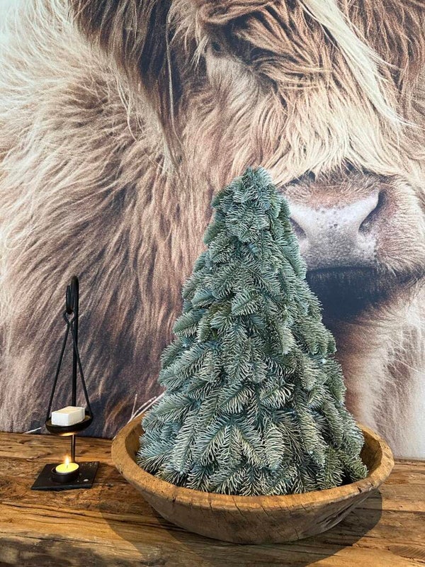 Nobilis kunstkerstboom - 50 cm