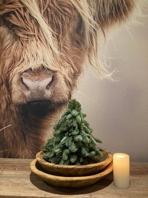 Nobilis kerstboom 30 cm hoog inclusief houten schaal afkomstig uit India