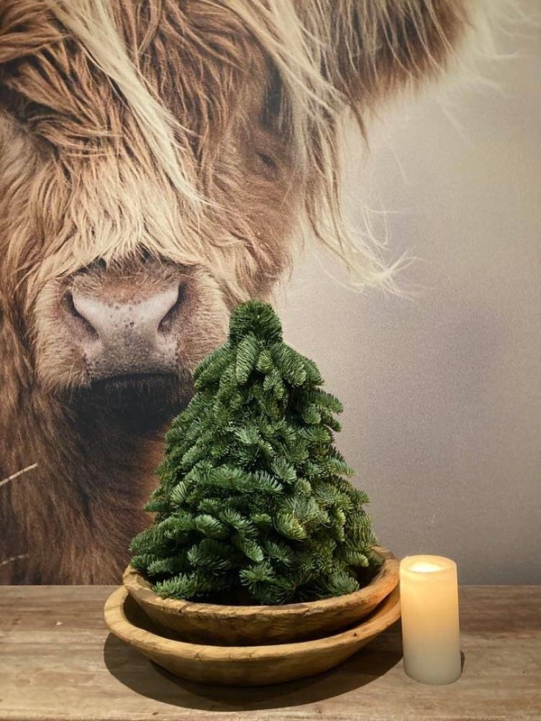 Nobilis kerstboom 40 cm hoog inclusief houten schaal afkomstig uit India