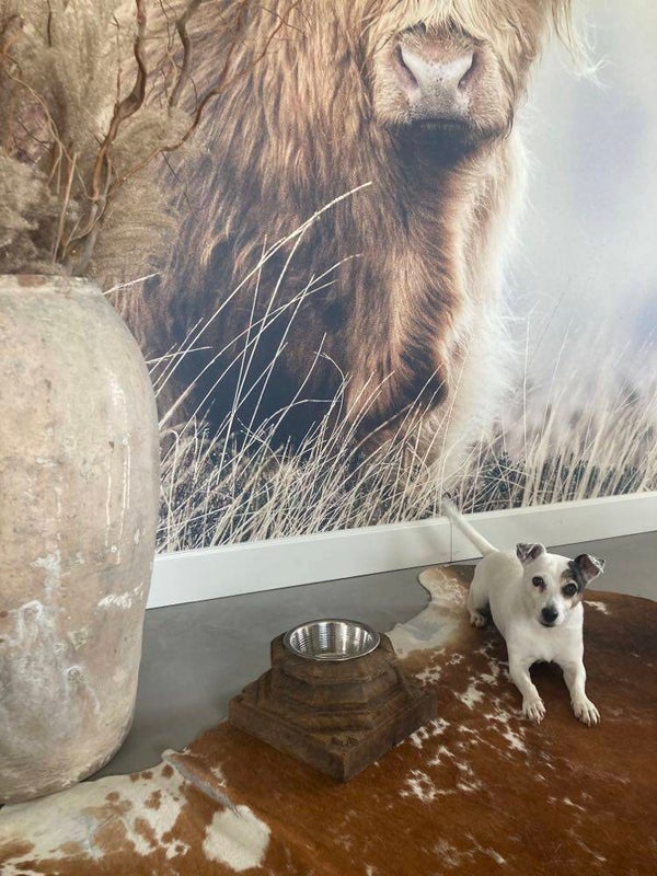 Houten voerbak gemaakt van een poer - 24x24x15 cm