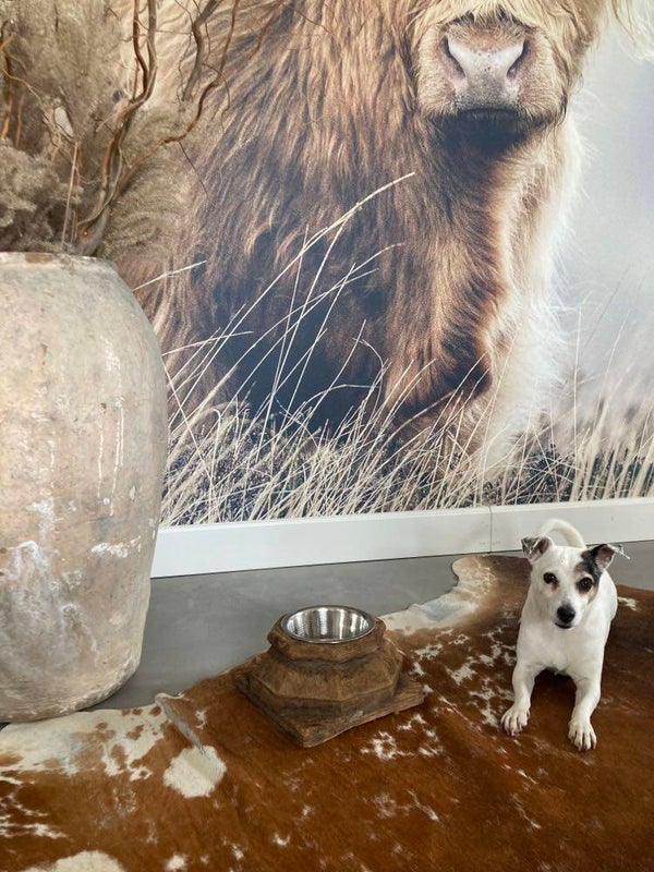 Houten voerbak gemaakt van een poer - 21x21x13 cm