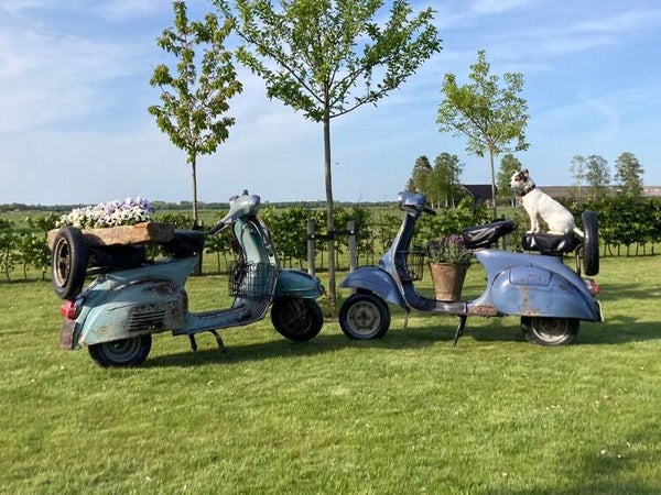 Decoratieve retro scooter - blauw