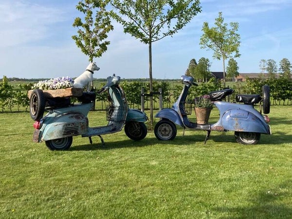 Decoratieve retro scooter - groen