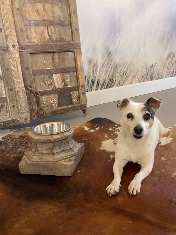 Houten voerbak gemaakt van een poer - 23x23x17 cm