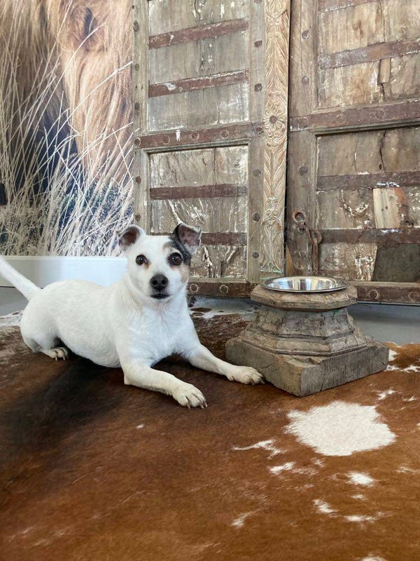 Houten voerbak gemaakt van een poer - 20x20x16 cm