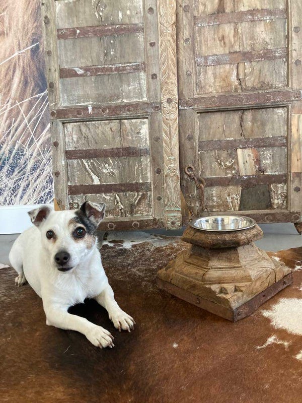 Houten voerbak gemaakt van een poer - 23x23x17 cm