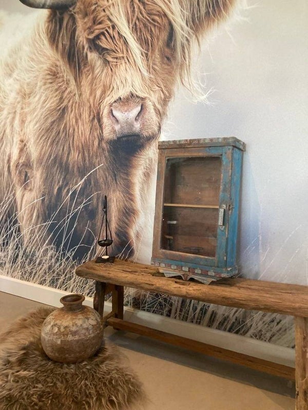 Houten vitrinekast/wandkast - 65x37x14 cm