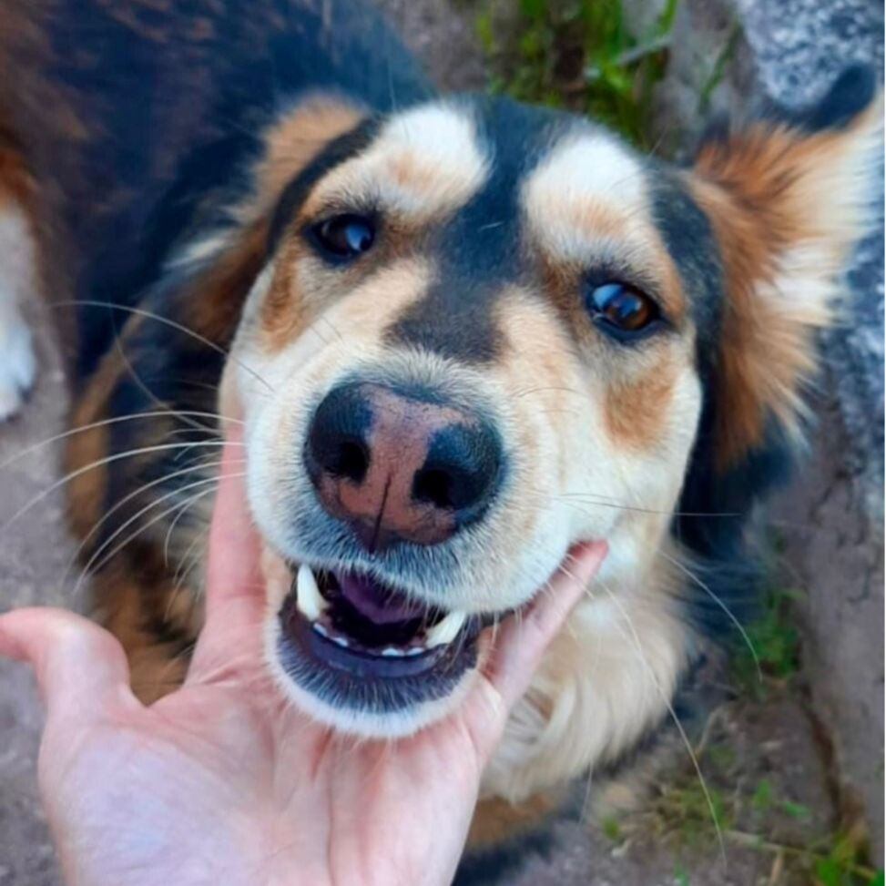 Lara - geb. 03.01.2022