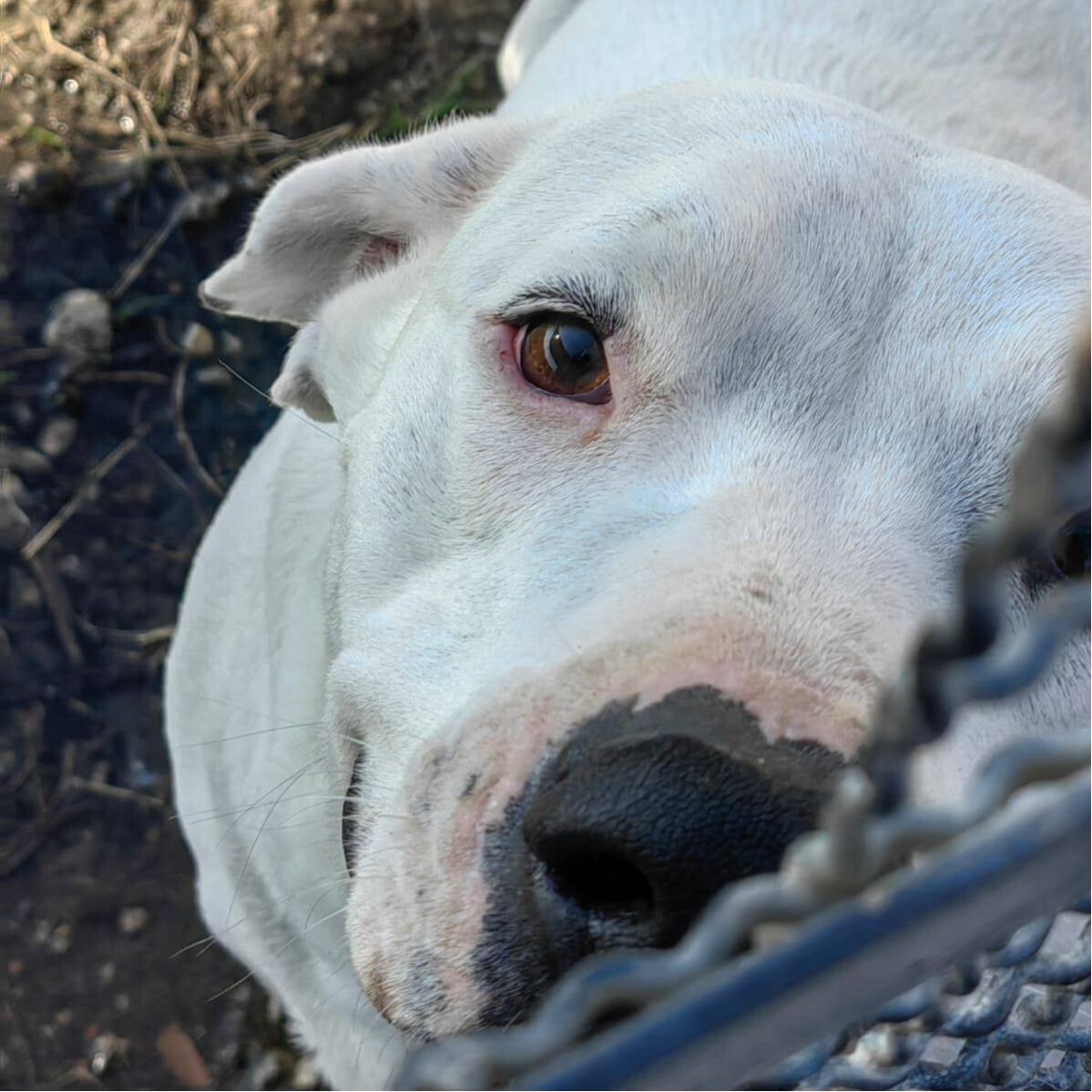 Bianca - geb. ca. 2021