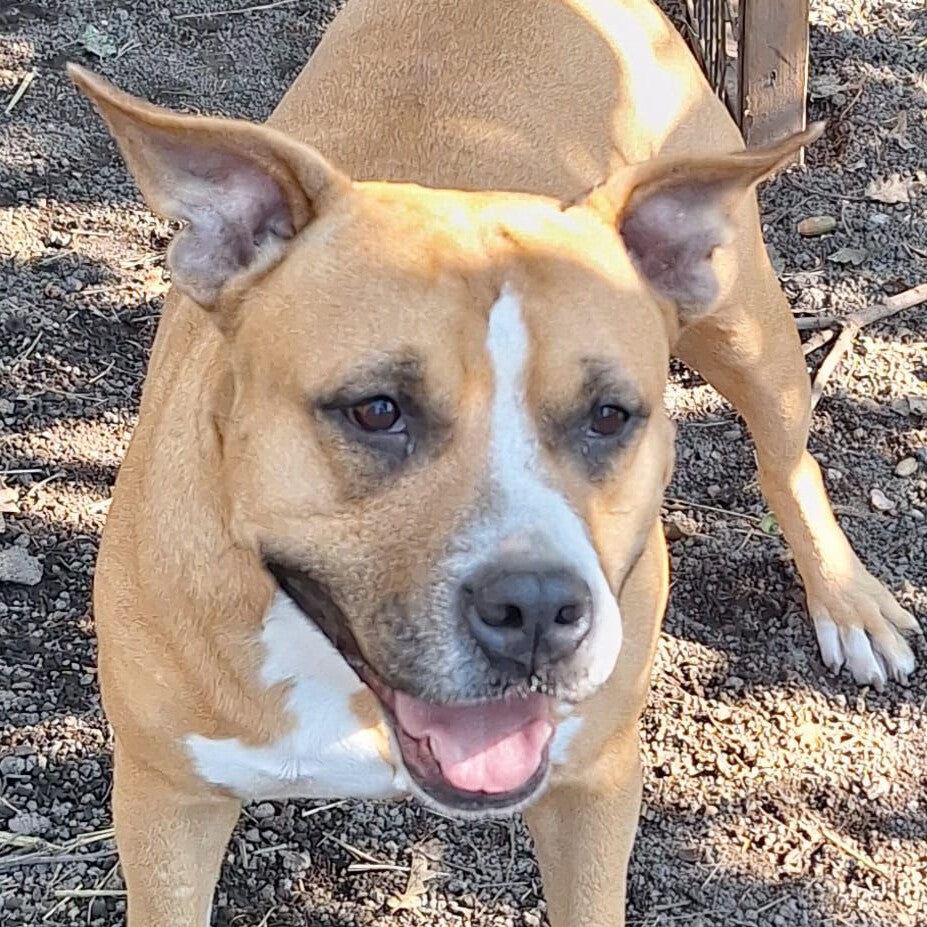 KUMA - geboren ca. 2020