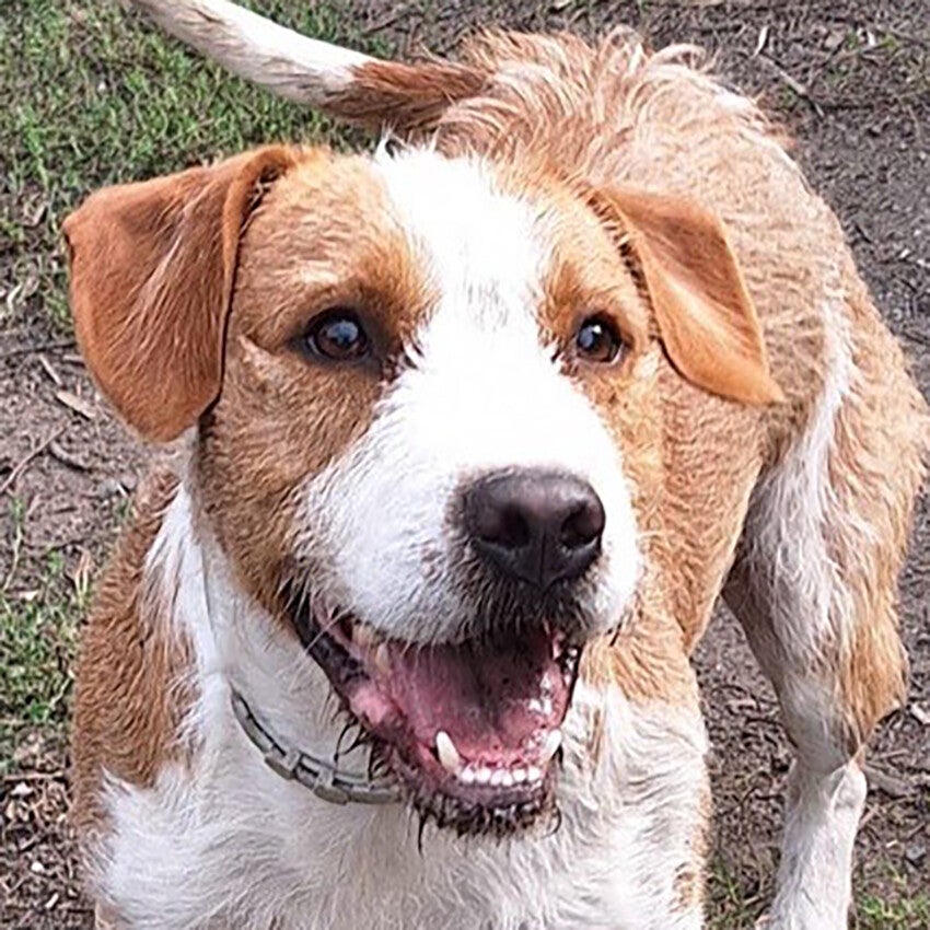 XMax geb. 08.12.2023