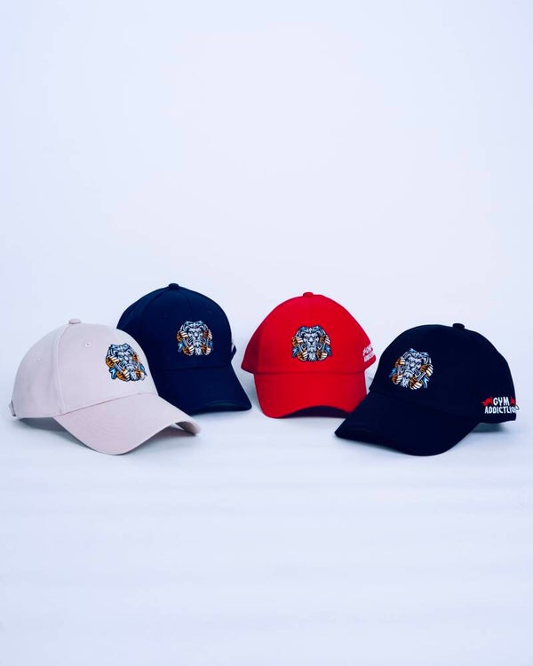 GymAddictLion® Cap – Stylische Fitness Cap mit Stickerei (Unisex)