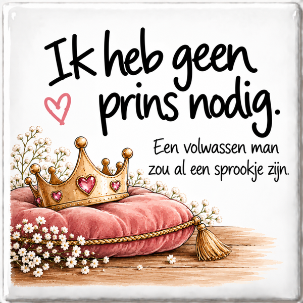 Humor tegeltje - Ik heb geen prins nodig