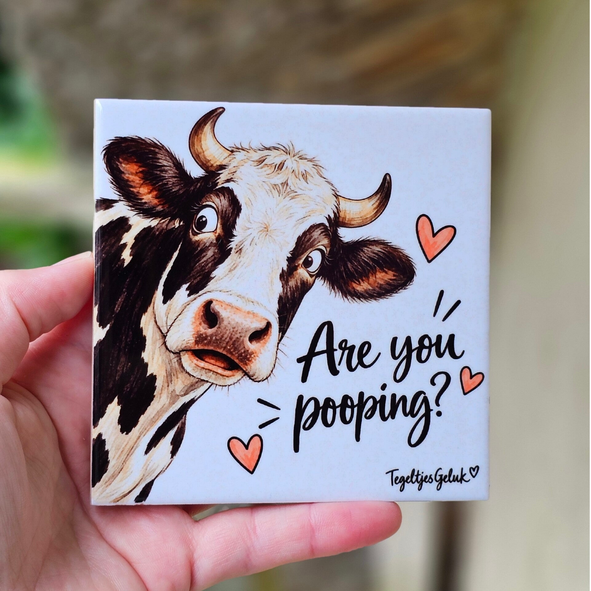 Grappig tegeltje - Cow, are you pooping?