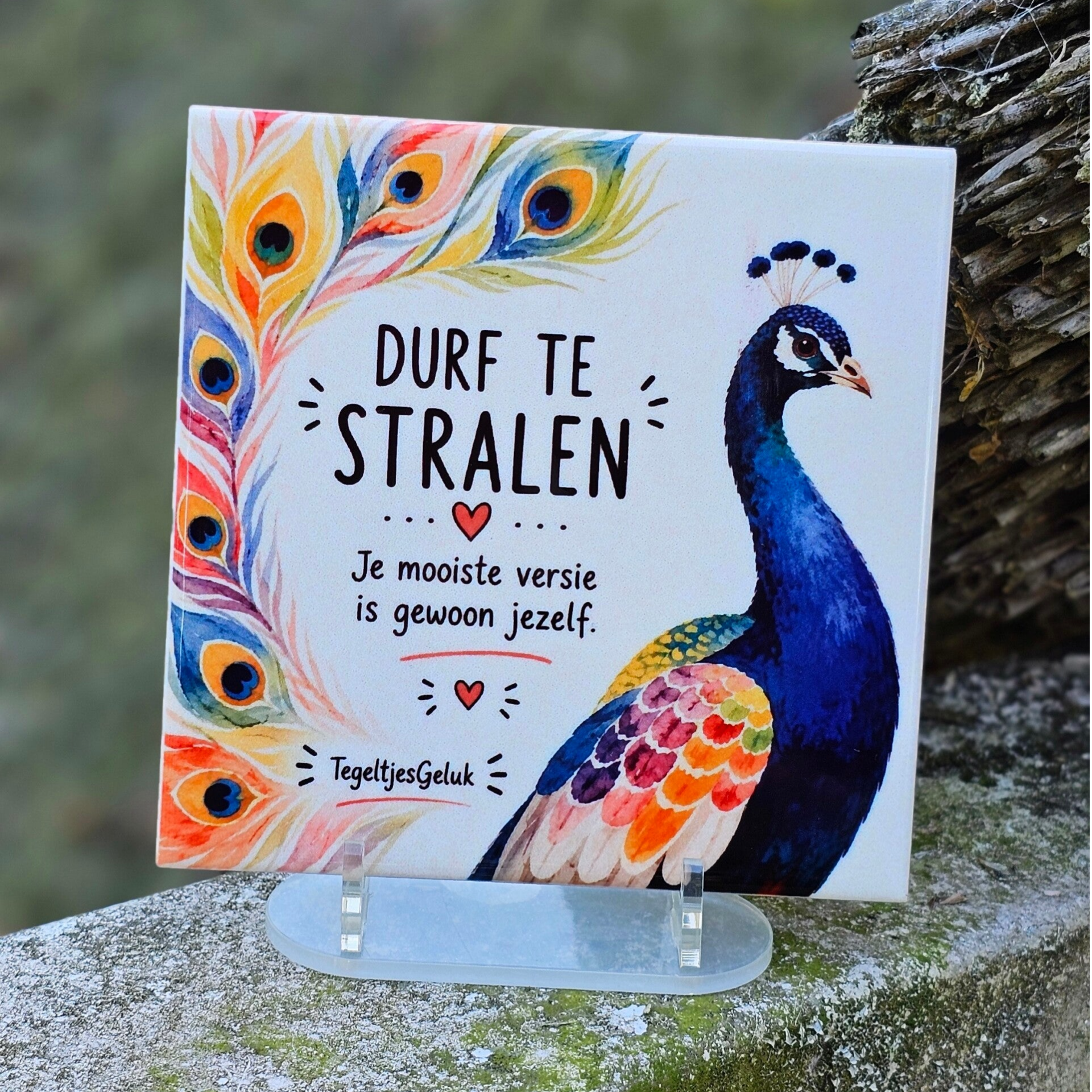 Motiverend spreuk tegeltje - Durf te stralen (pauw)