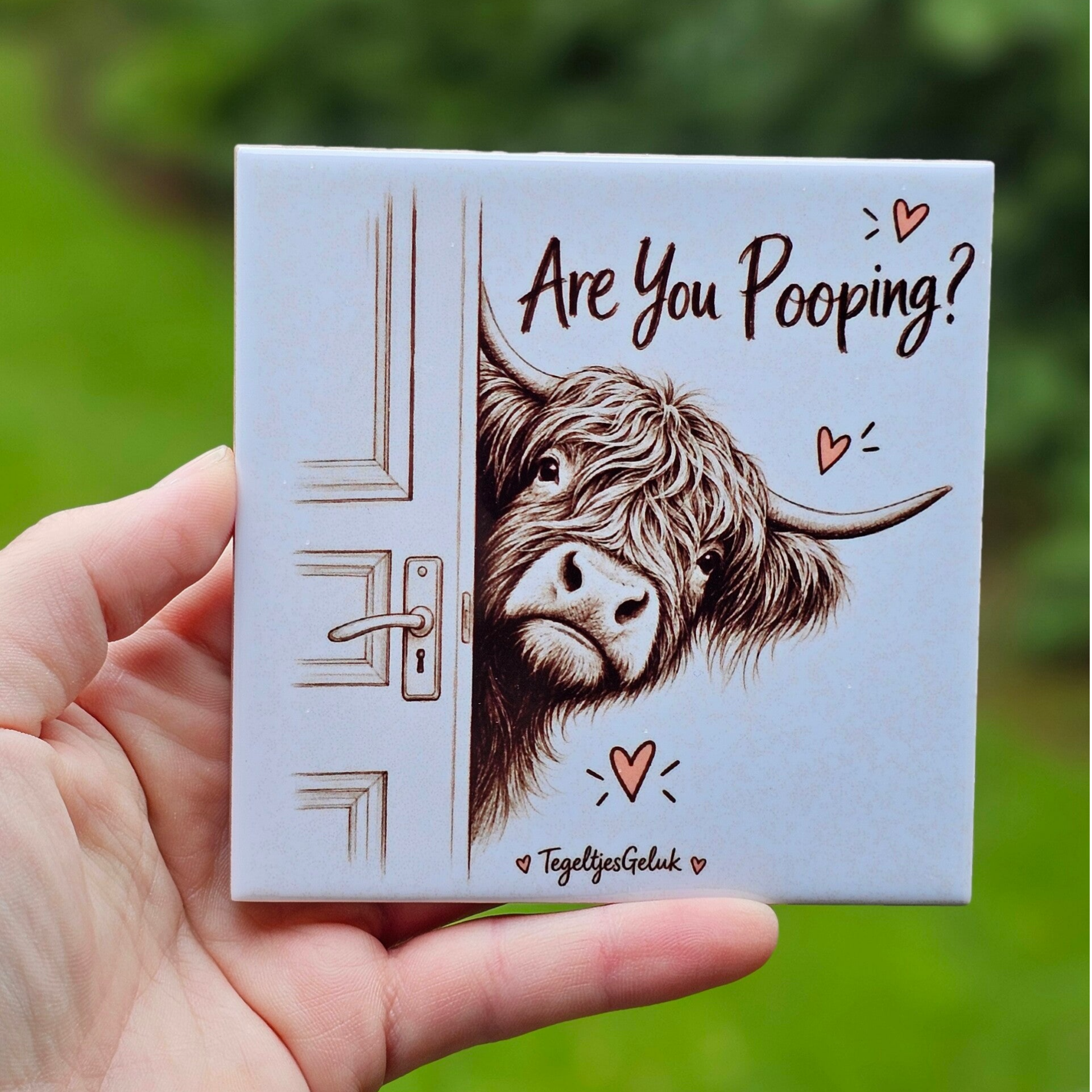Grappig WC tegeltje - Are you pooping ? (hooglander)