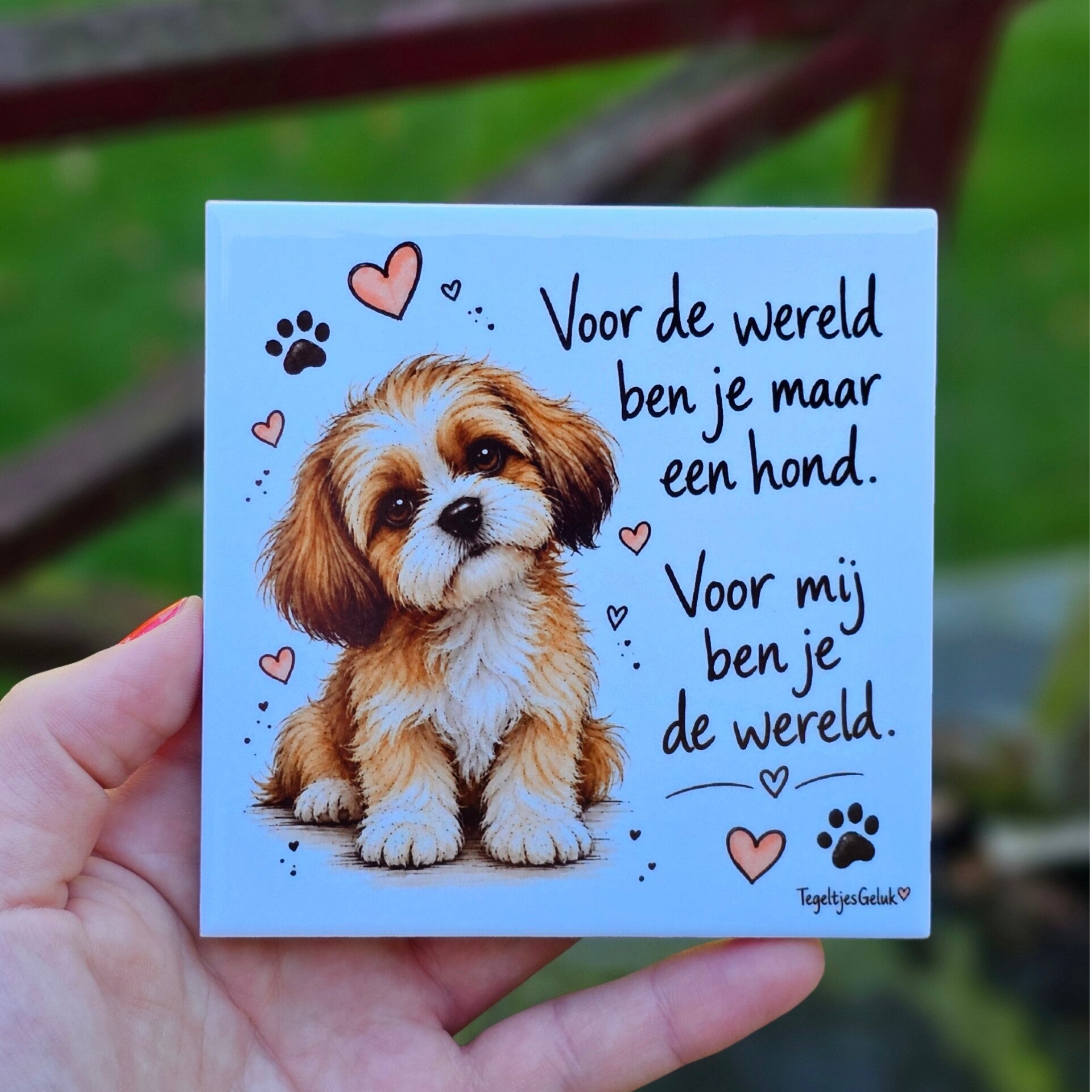 Hondentegeltje – Voor de wereld ben je maar een hond, maar voor mij ben je de wereld